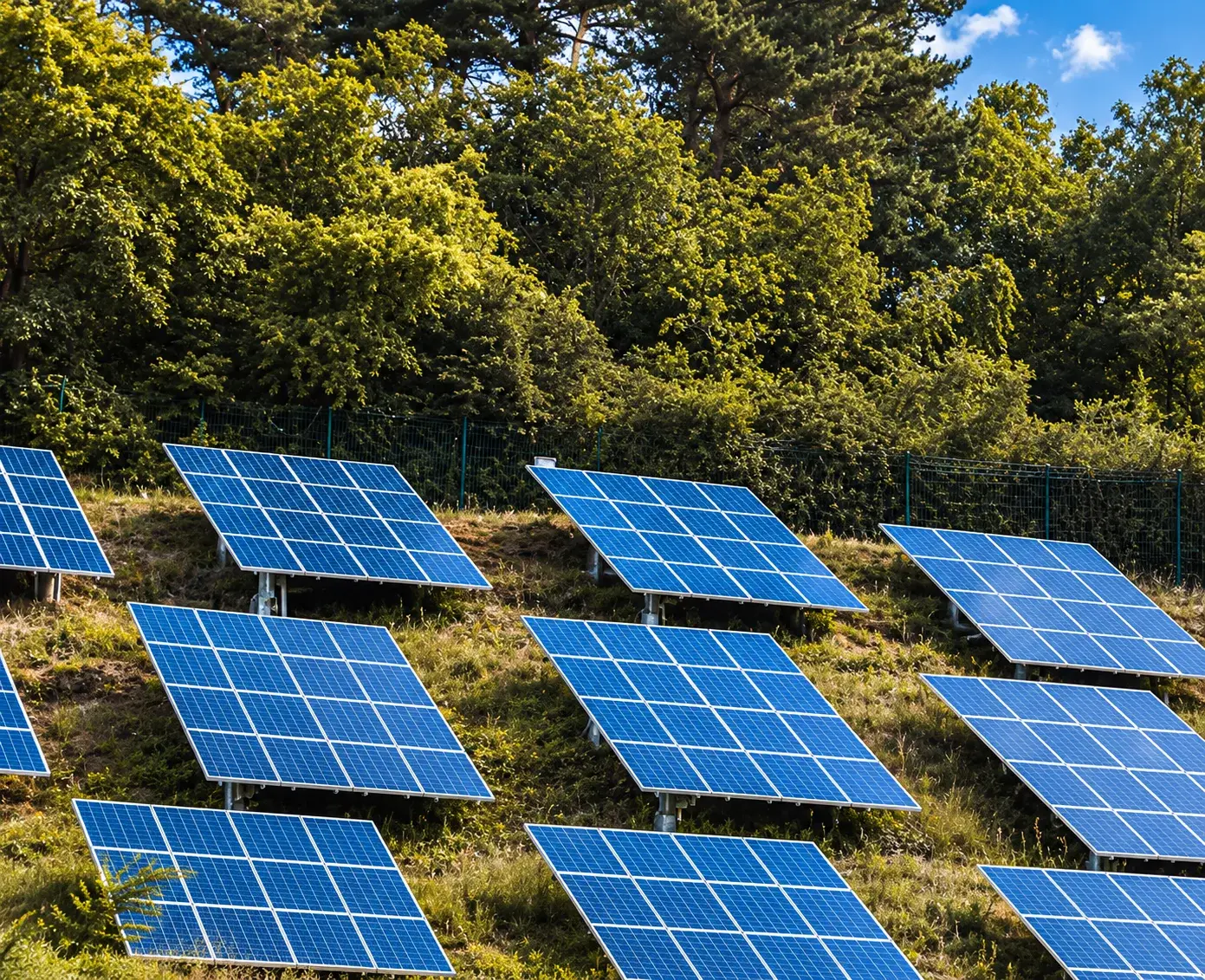 Ingeniero revisando paneles solares